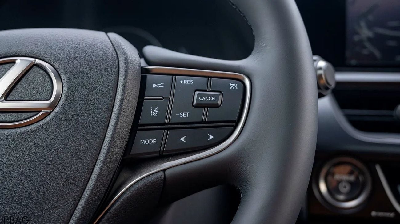 Lexus UX250h UX 250 | 2-YEAR WARRANTY + SERVICE AVAILABLE | IN-HOUSE FINANCING | 0% DOWNPAYMENT (BANK)