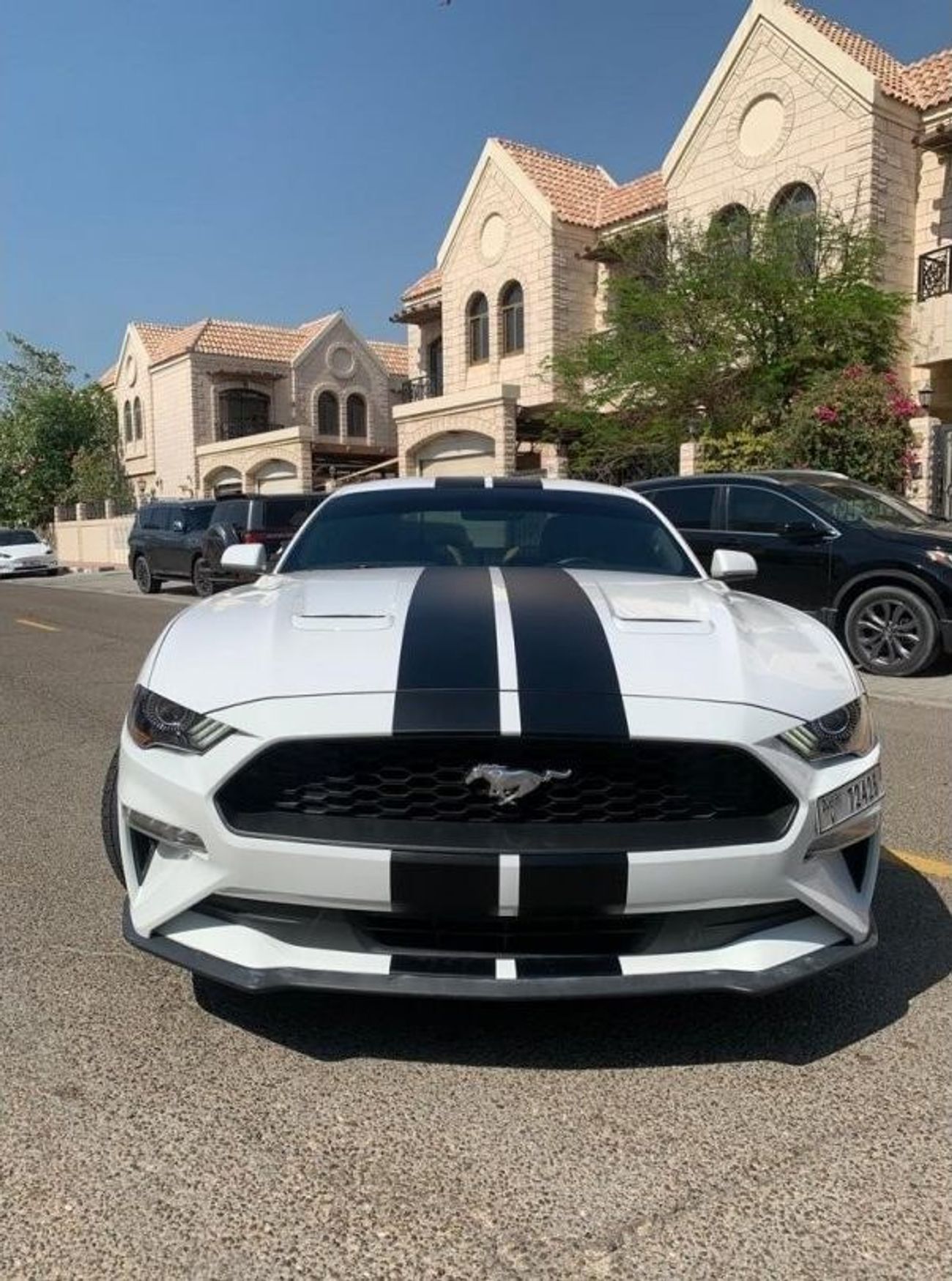 Ford Mustang EcoBoost