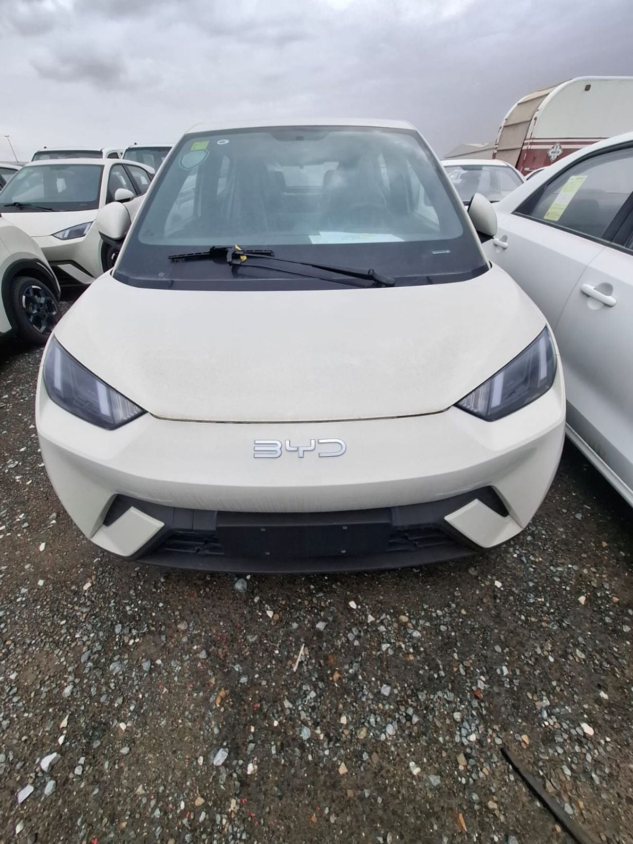 BYD Seagull Glory Edition 405KM Flying Edition