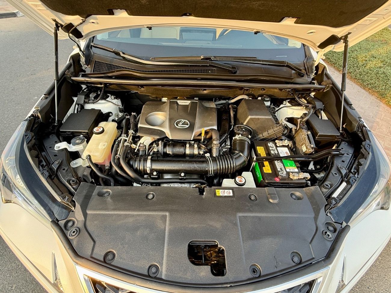 Lexus NX300 Nx300 Full option