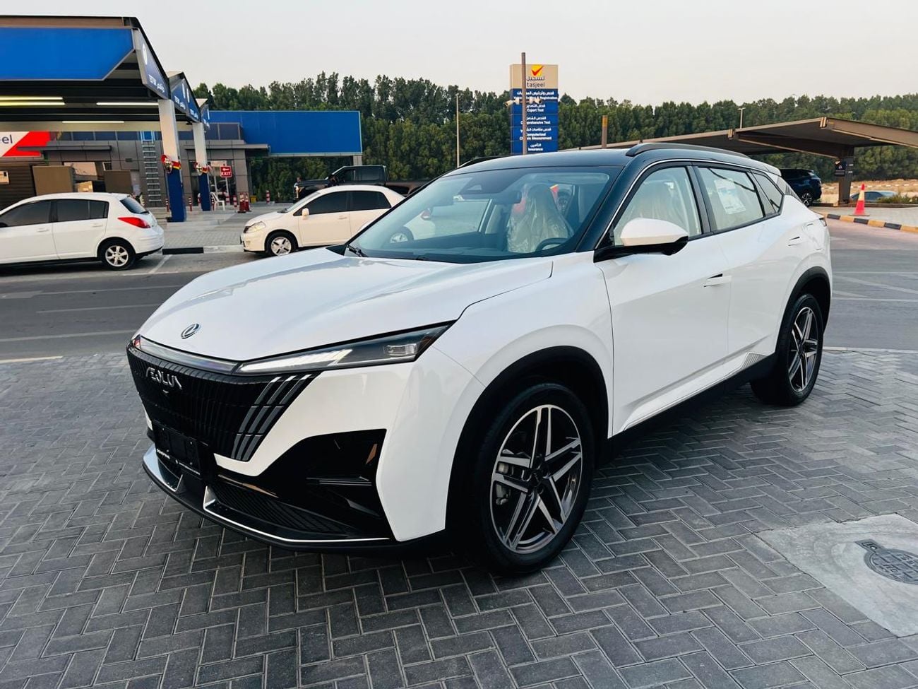 Dongfeng Mage