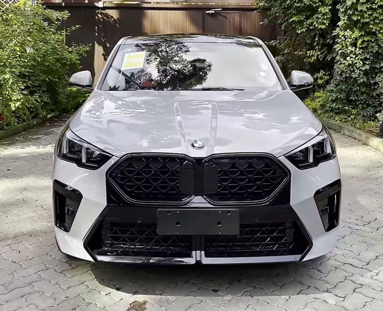 BMW X2 X2 sDrive 25i With M Sport Kit