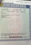 هيونداي فيلوستر