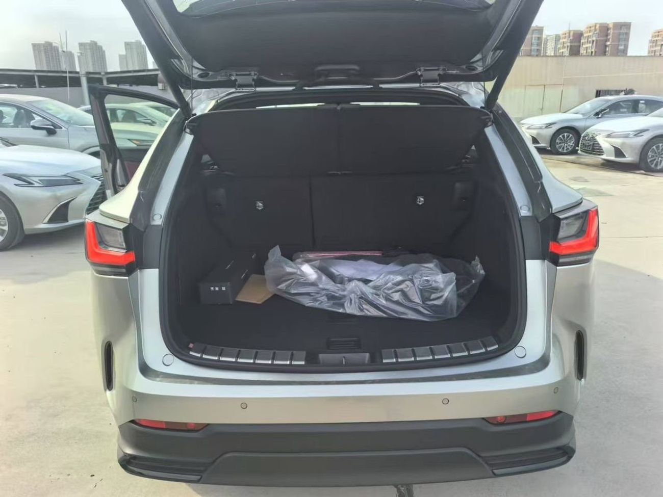 Lexus NX350 Lexus 350 / 2025 / Chinese