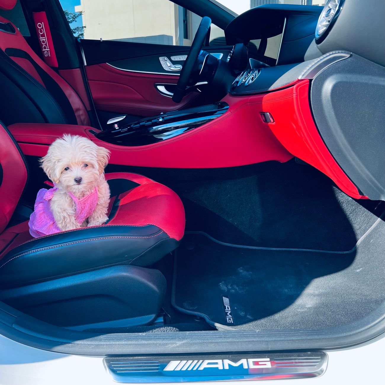 Mercedes-Benz GT 63 S AMG 4MATIC+