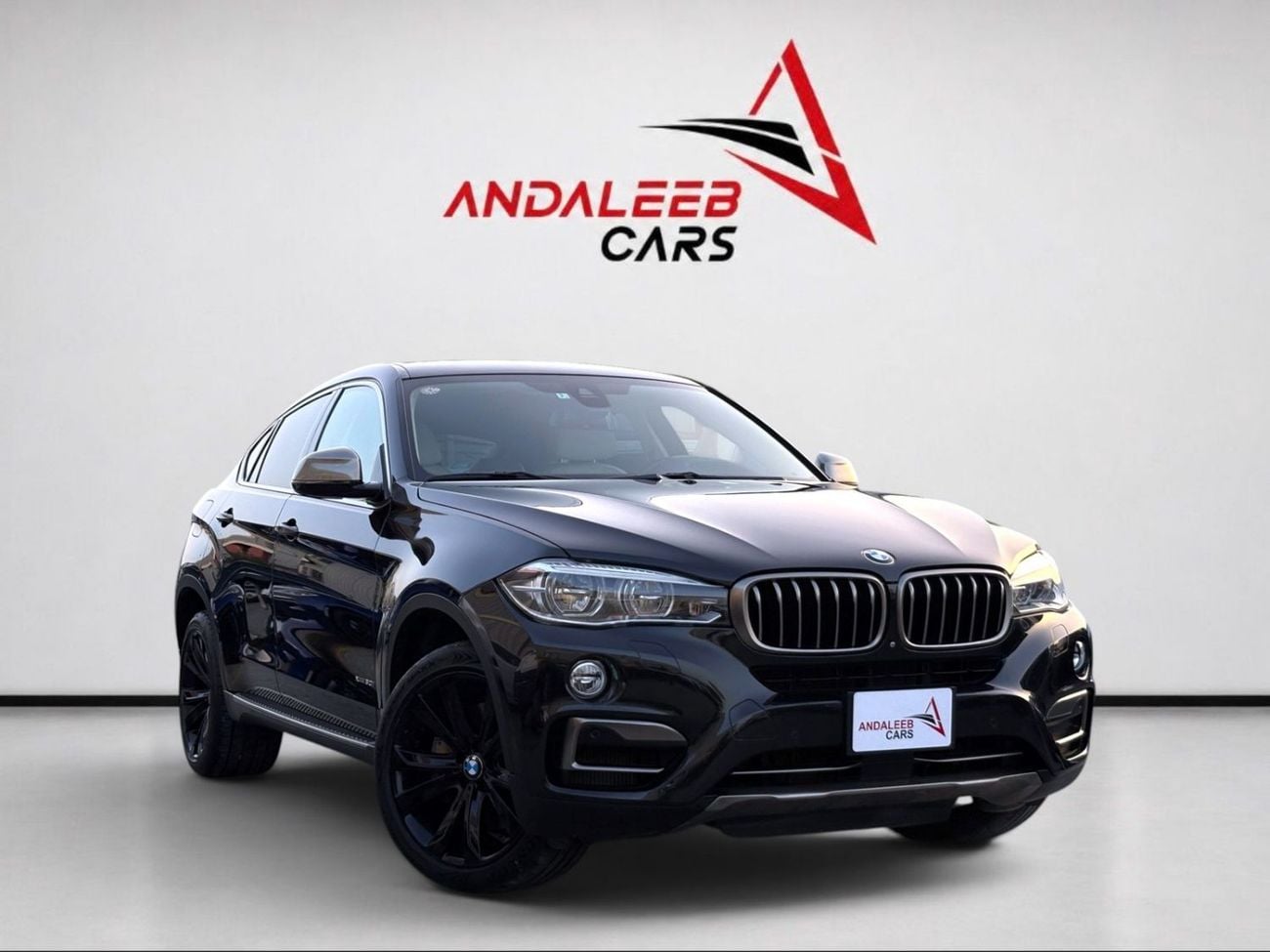 BMW X6 XDRIVE50i EXCLUSIVE BMW X5 XDRIVE50I | 4.4L V8 | 2016 | JAPANESE SPECS