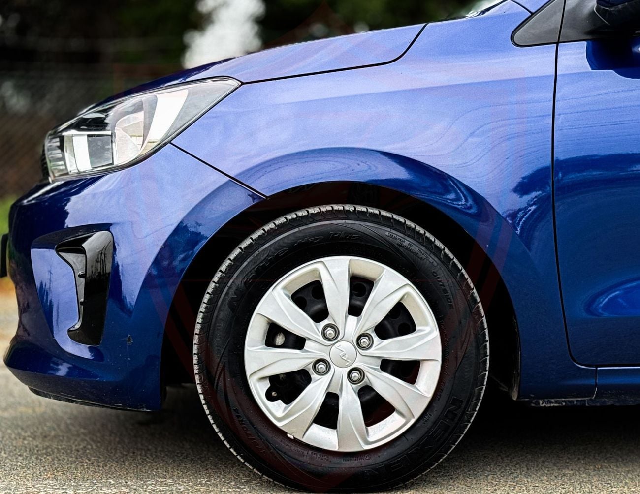 Kia Pegas Kia Pegas | 1.4 L | 2023 | GCC | Accident-Free | In Excellent Condition | 437 P.M