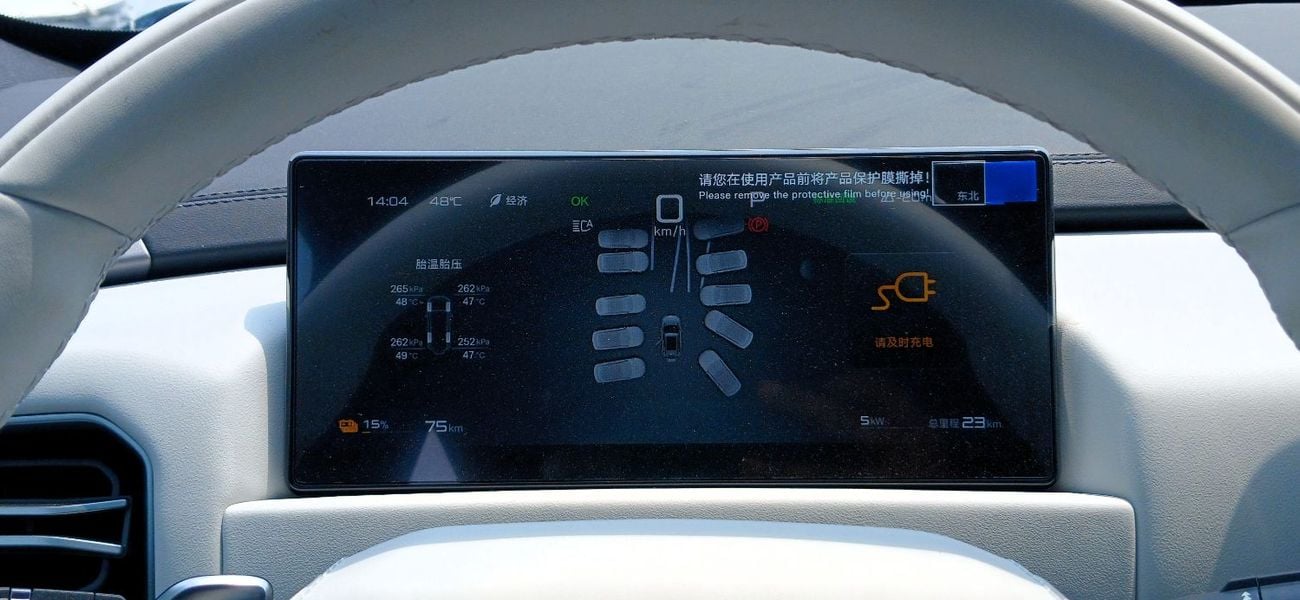 بي واي دي Leopard 3 TITANIUM 501km Range 2025YM