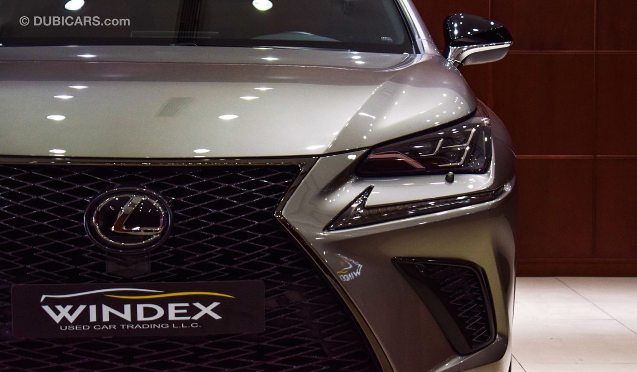 Lexus NX300 F Sport