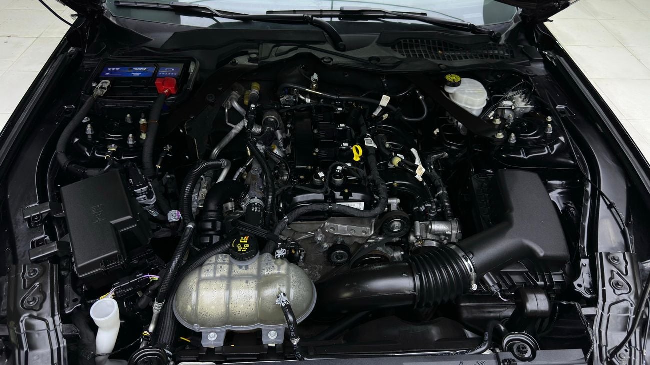 فورد موستانج performance package