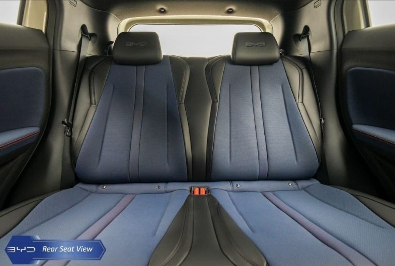 بي واي دي سيجول FLYING HATCHBACK ELECTRIC 2024