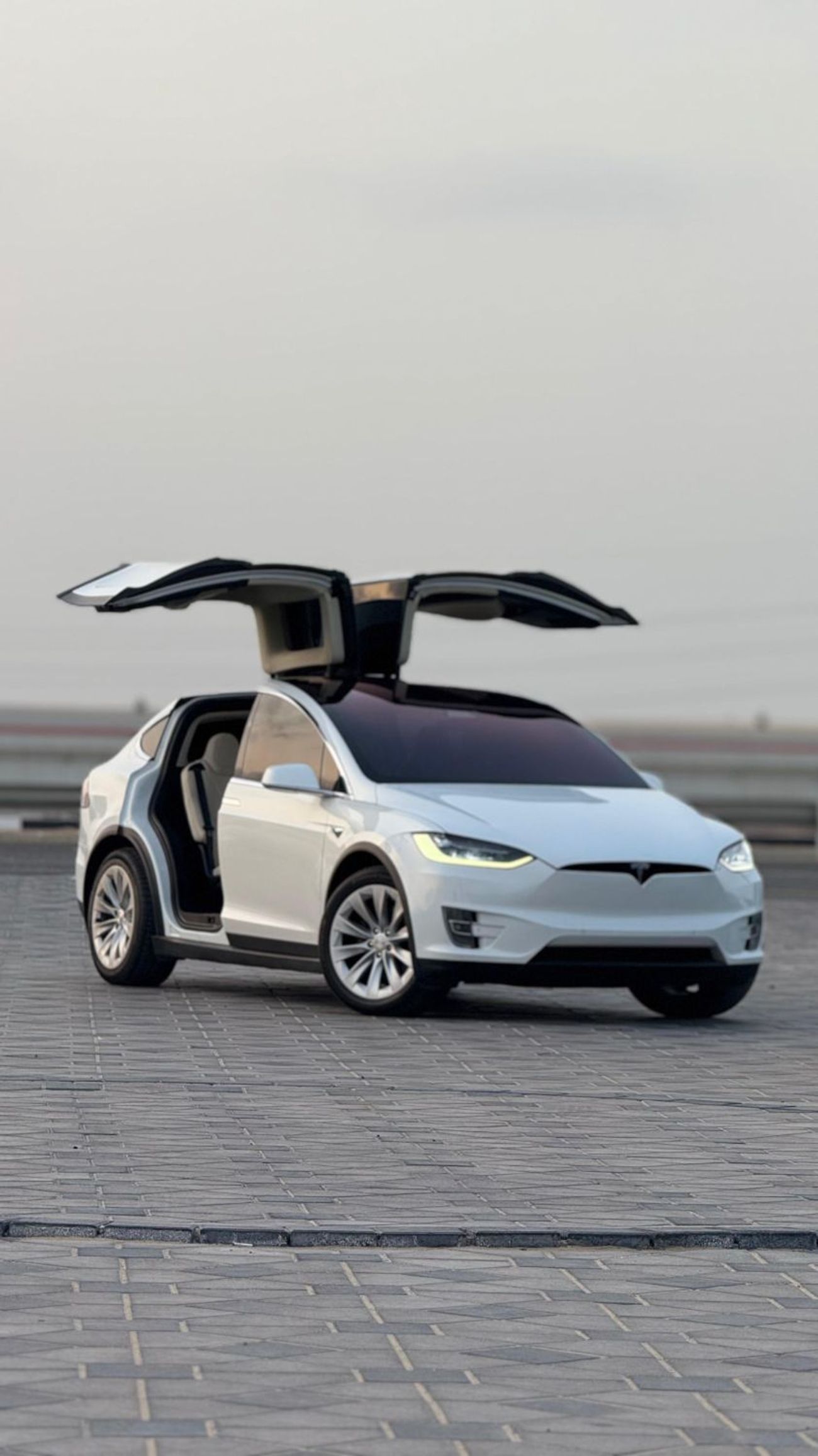 Tesla Model X Long Range (AWD)