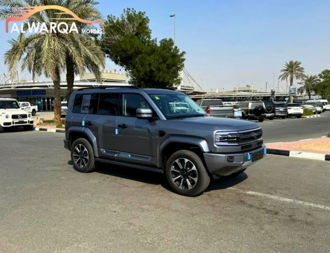 بي واي دي ليوبارد 5