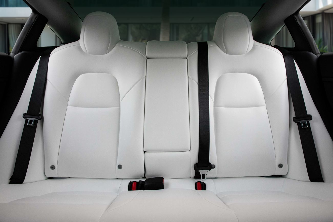 Tesla Model 3 Model 3  | 2,057 P.M | 0% Downpayment | Performance | Tesla Warranty