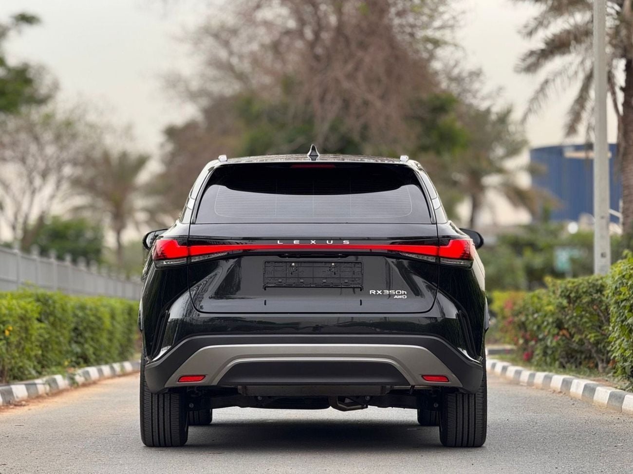 Lexus RX350  RX350 h AWD 2025 / GCC