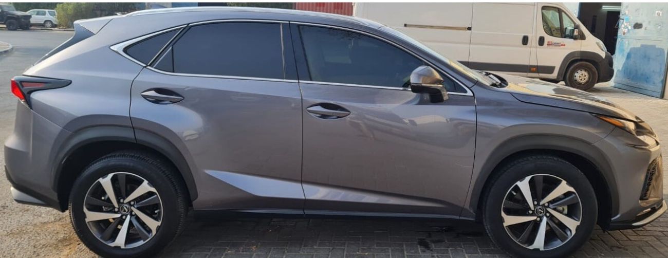 Lexus NX300 F Sport 2.0L