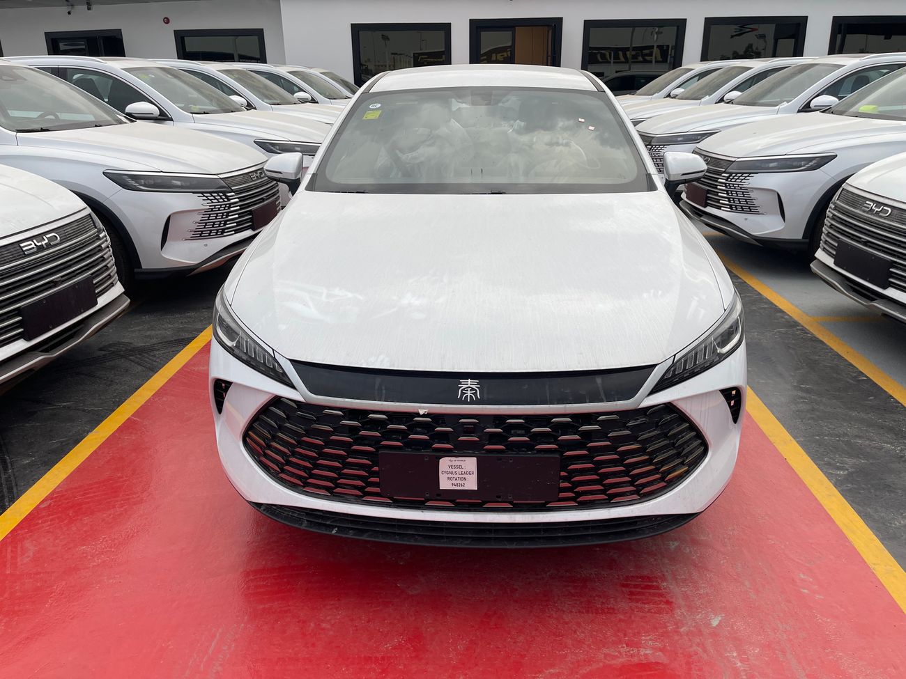 BYD QIN PLUS 1.5L DMI 55KM plug in Hybrid ( DUCAMZ )