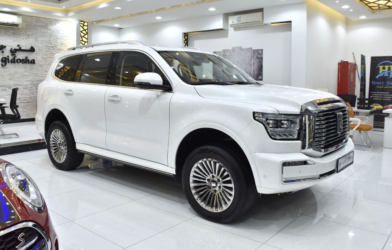 Tank 300 EXCELLENT DEAL for our GWM TANK 500 ( 2024 Model ) in White Color GCC Specs