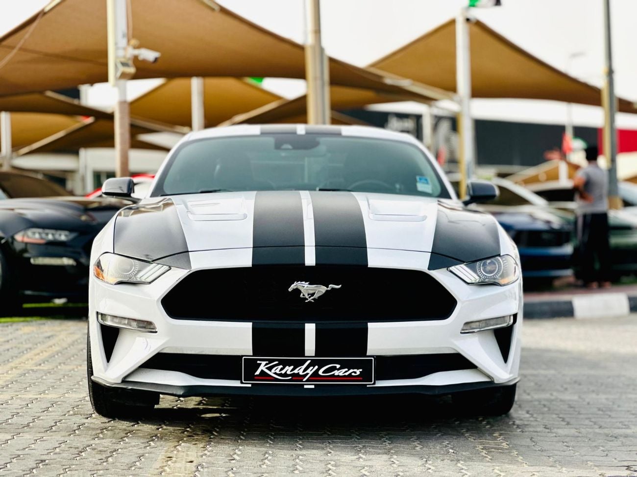 Ford Mustang Ecoboost | Monthly 1200/- | 0% DP | Fog Lights | Lane Assist | # 00283