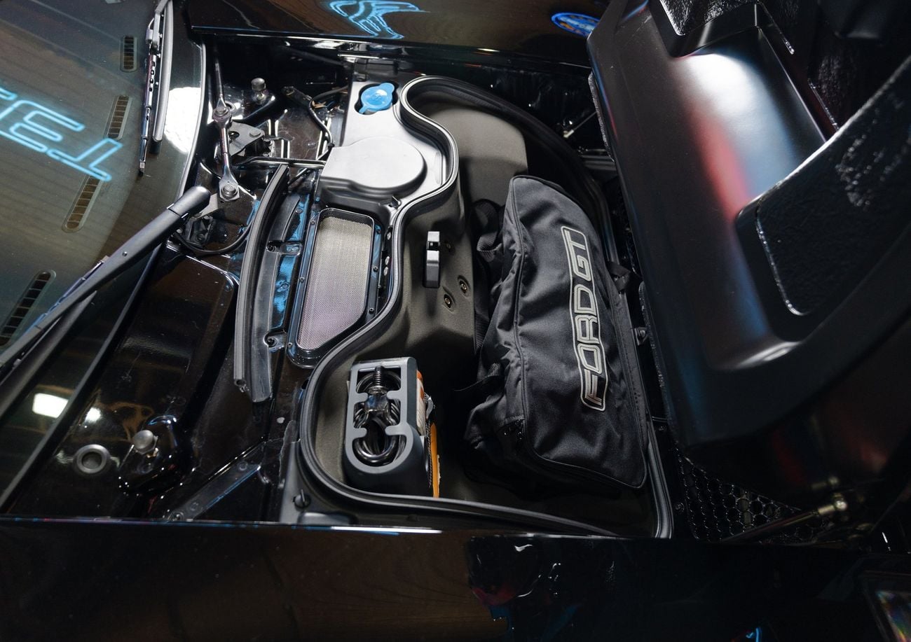 Ford GT Rare 1 of 14 Stripe Delete