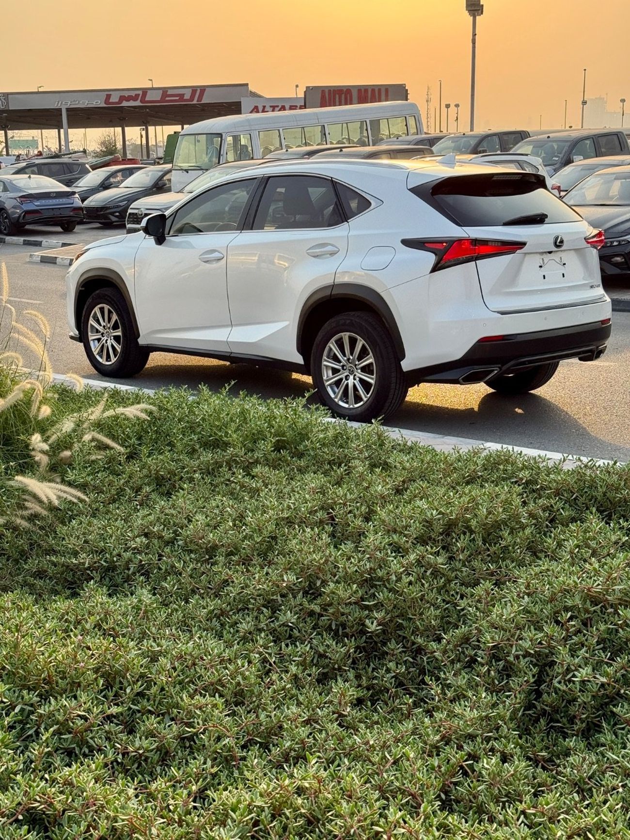 Lexus NX300 Nx300 Full option