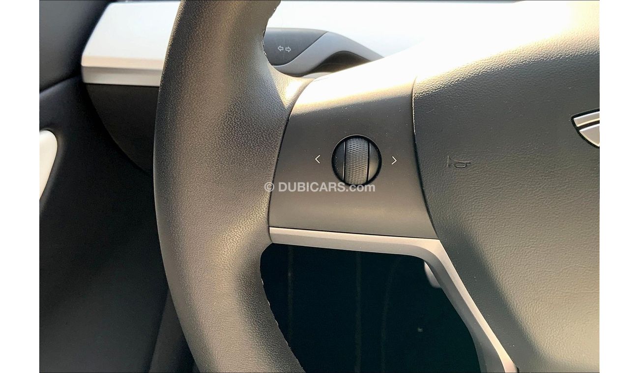 Tesla Model 3 Performance (Dual Motor)