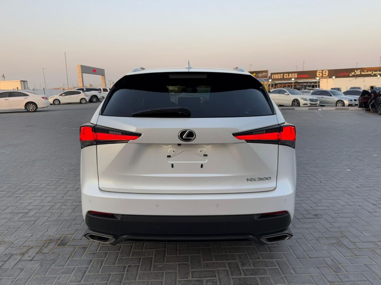 Lexus NX300 Lexus Nx300 2019 sunroof