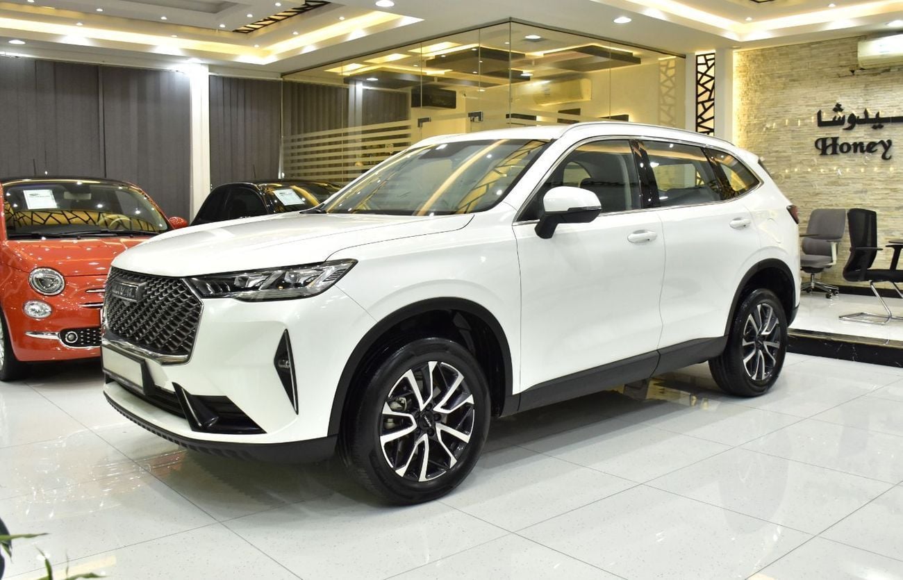 Haval H6 BASIC EXCELLENT DEAL for our Haval H6 2.0 GDiT ( 2024 Model ) in White Color GCC Specs
