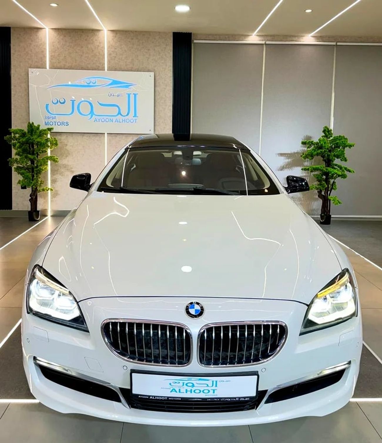 BMW 530i LOVELY 650i V8 || GCC || TOP RANGE || POWERFUL ENGINE || ACCIDENT FREE || AMAZING CONDITION