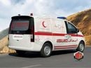 Hyundai Staria Hyundai Staria Ambulance 3.5 2026 – 3.5L V6 | Automatic | 5 Doors | Emergency Medical Vehicle