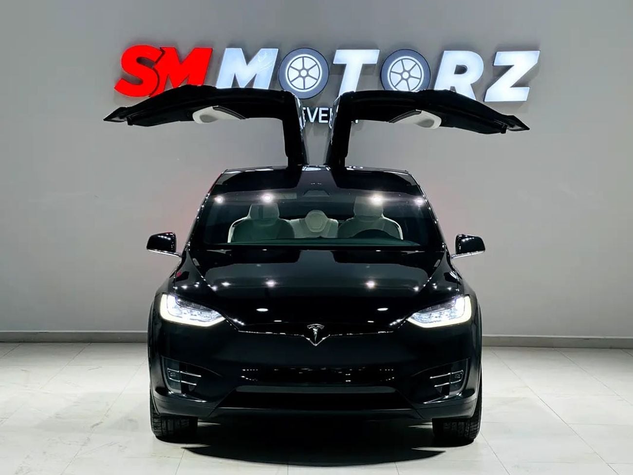 Tesla Model X 100D