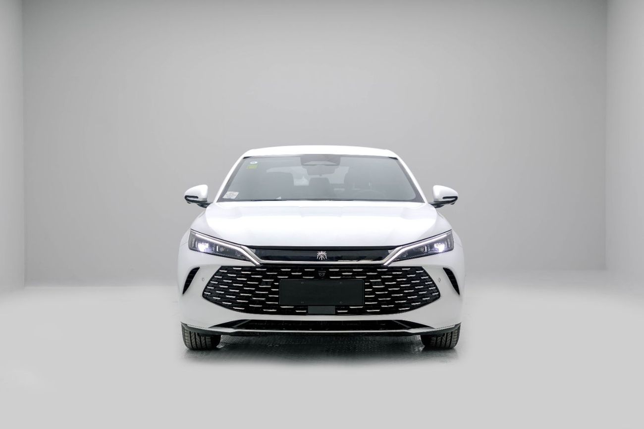 بي واي دي كين ال دي ام-اي Leading Version 1.5L - White Inside Grey | Export Only