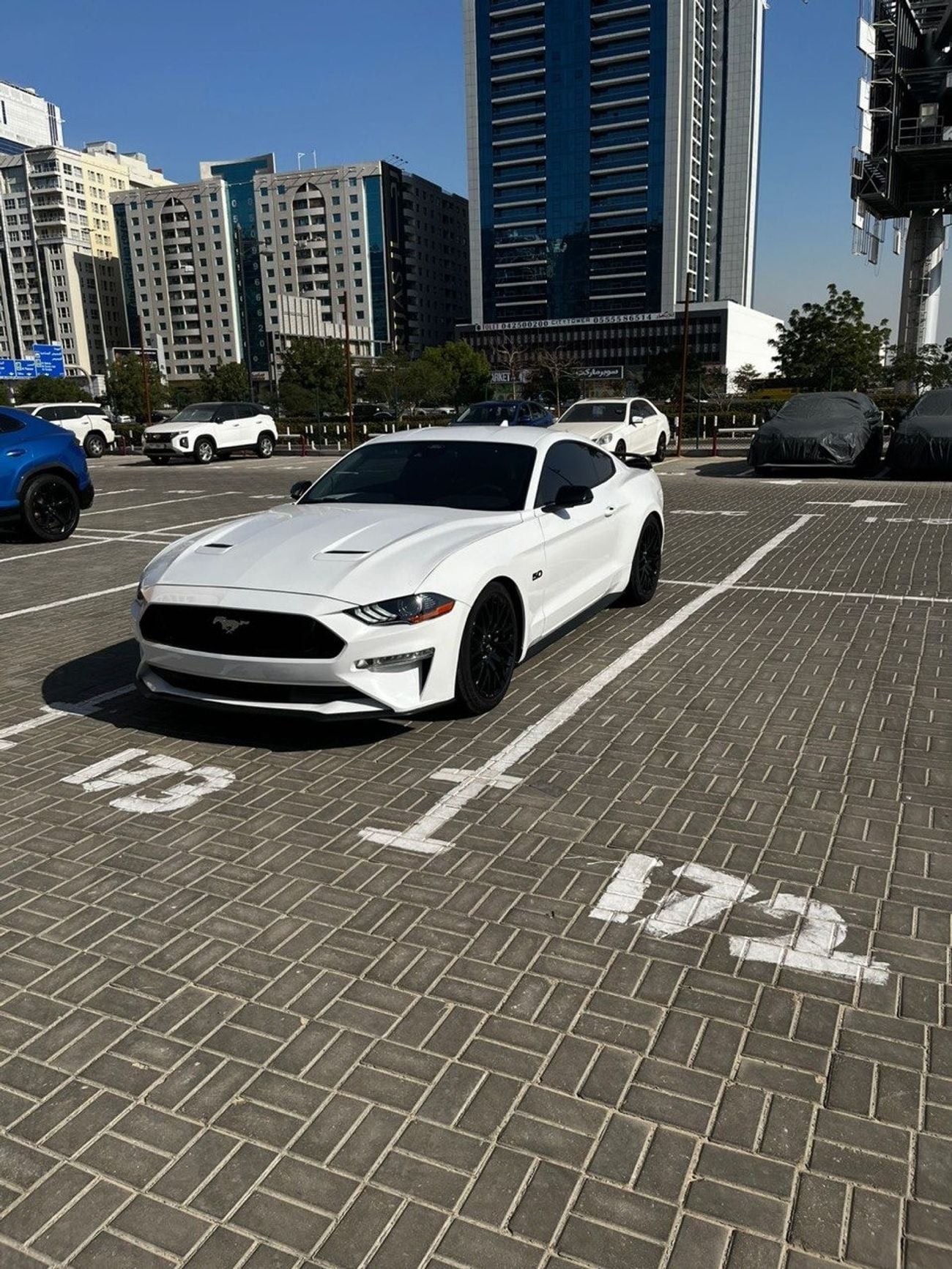 Ford Mustang GT Premium 5.0L V8