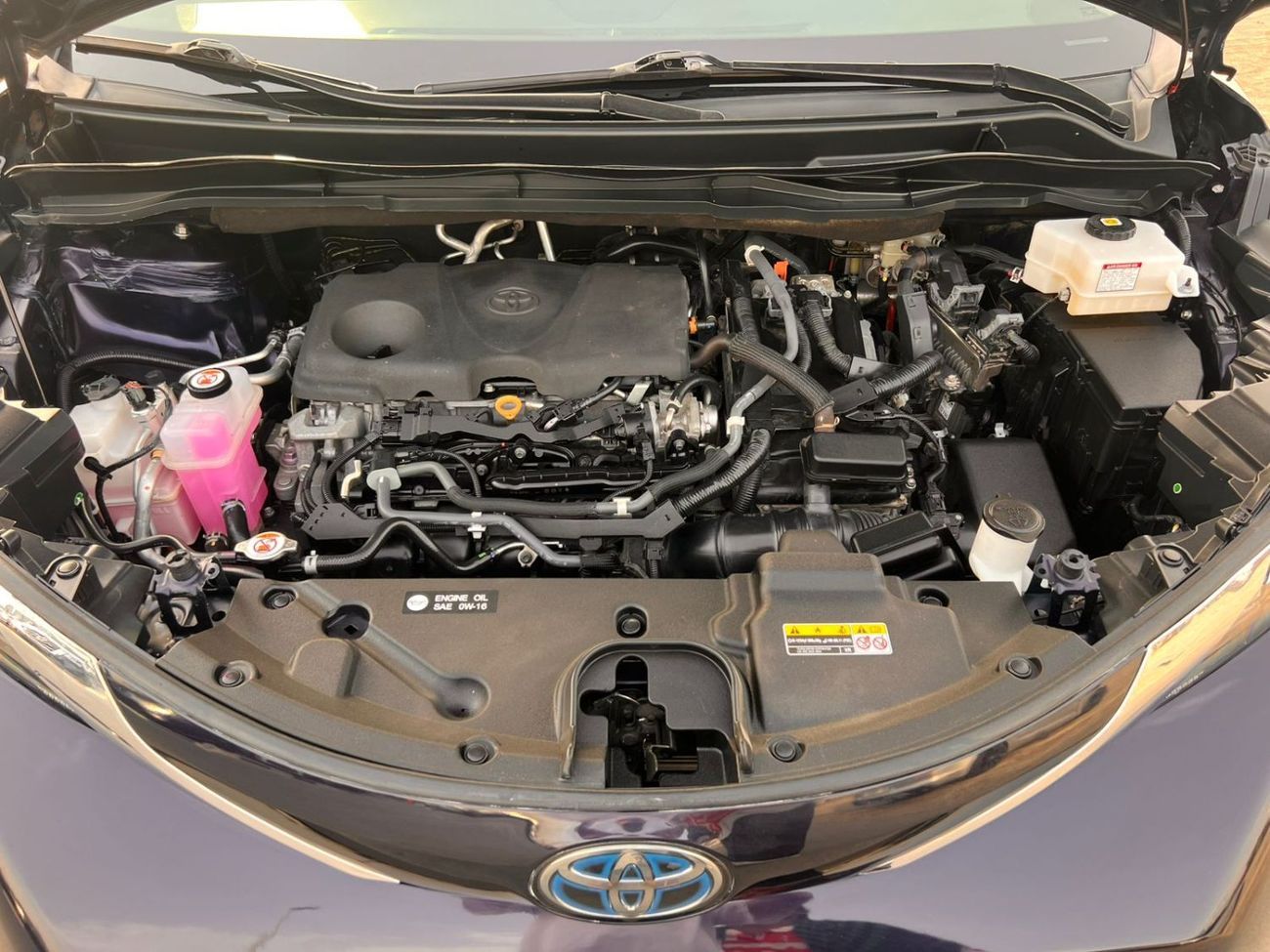 تويوتا سيينا 