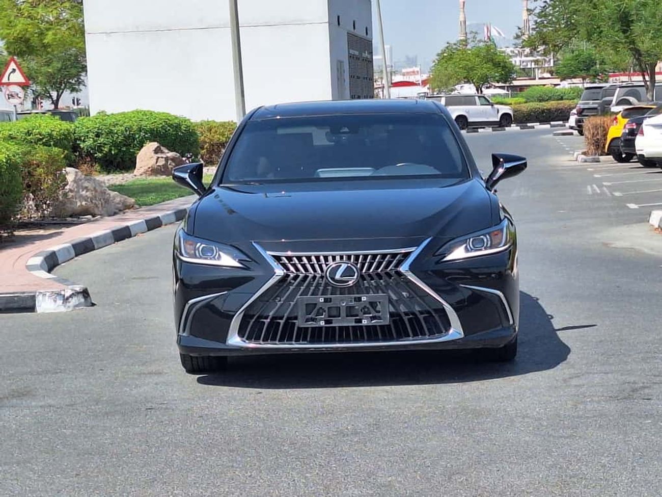 Lexus ES 300 2024 LEXUS ES-300 2.0L PETROL