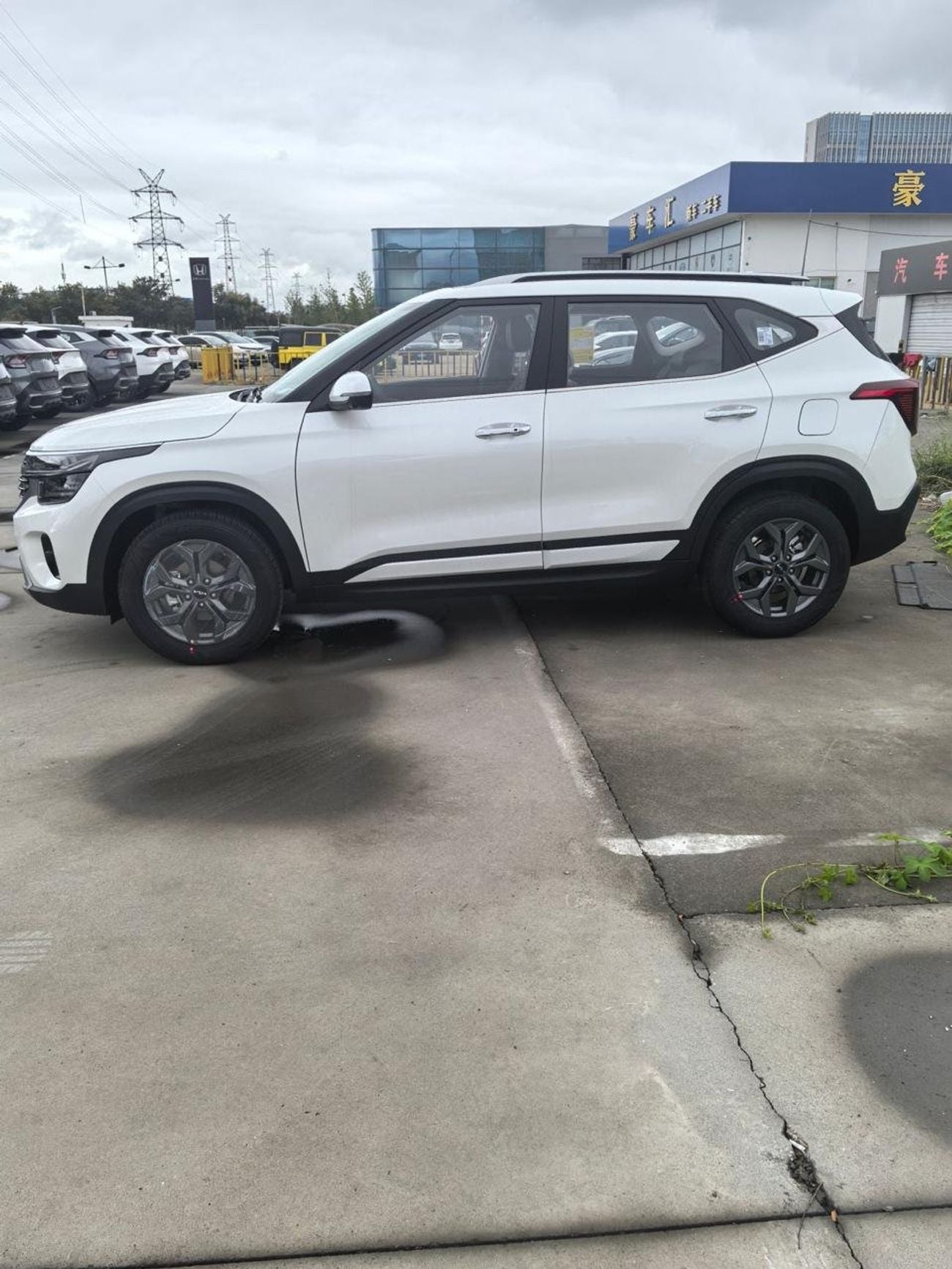 كيا سيلتوس Kia seltos / 2025 / white / 0km