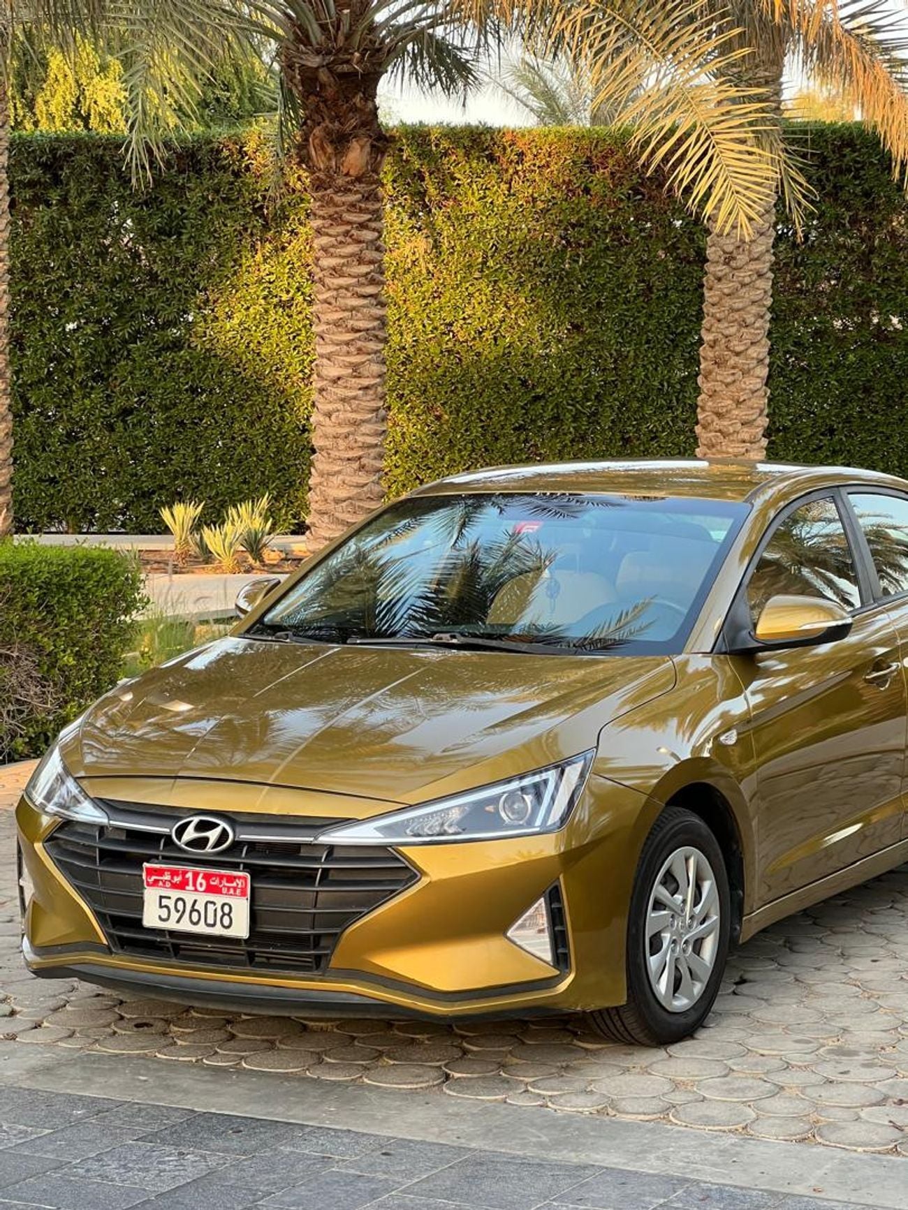 Hyundai Elantra Standard 2.0L GCC 2.0L