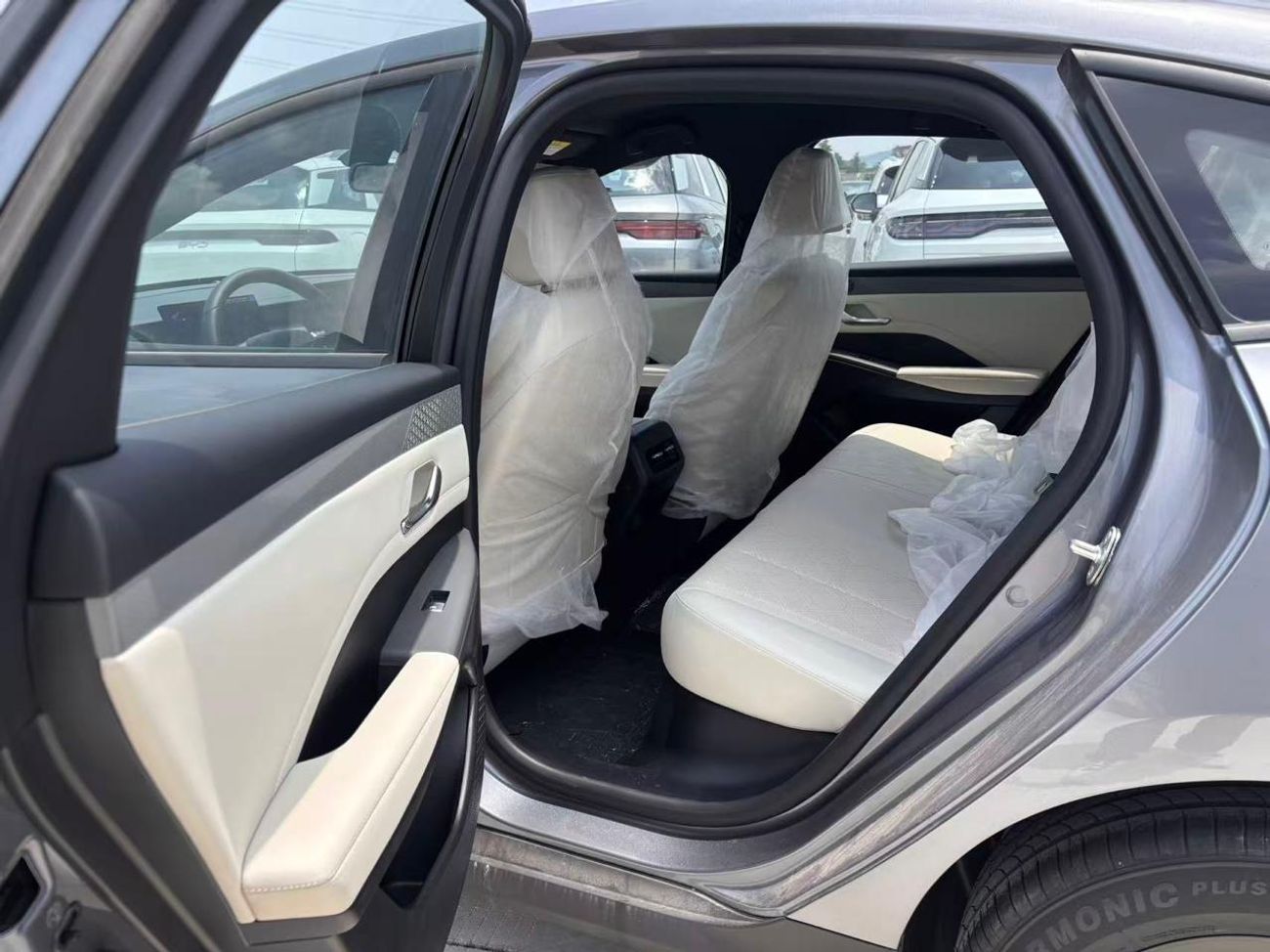 بي واي دي كين بلاس STD DM-I 128KM Active Type | For export