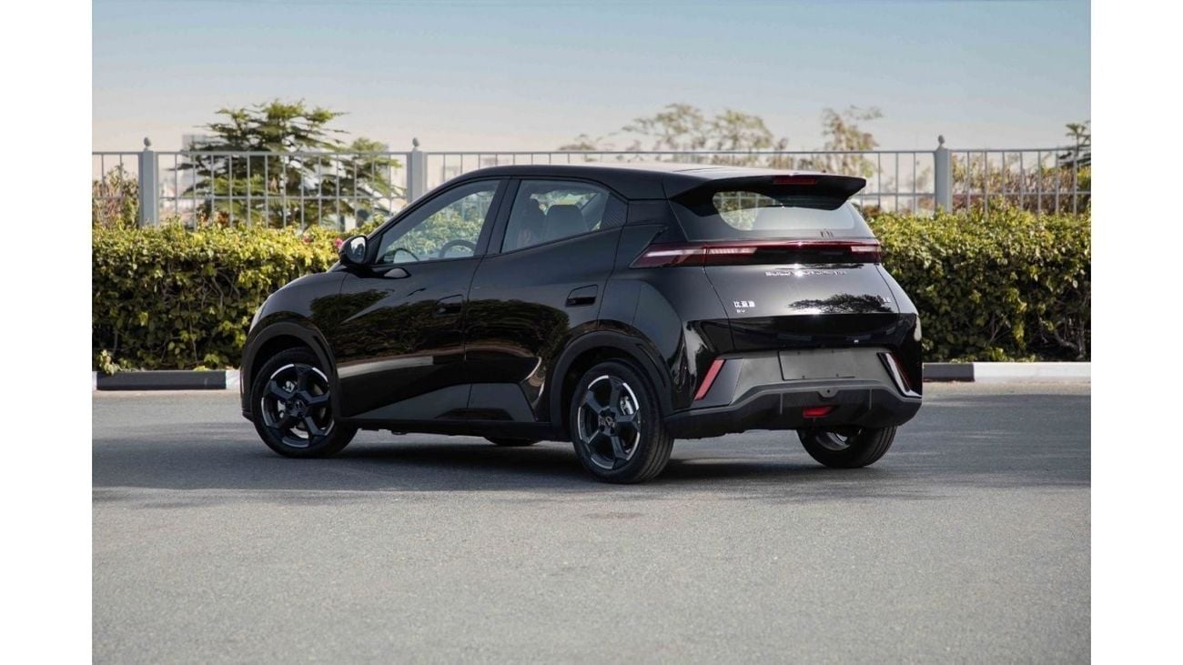 BYD Seagull 2024 BYD Seagull - Black inside Blue | Export Only