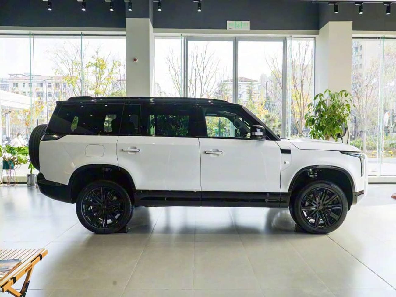 روكس أداماس VIP ADAMAS 6 SEATS  AND 7 SEETAS