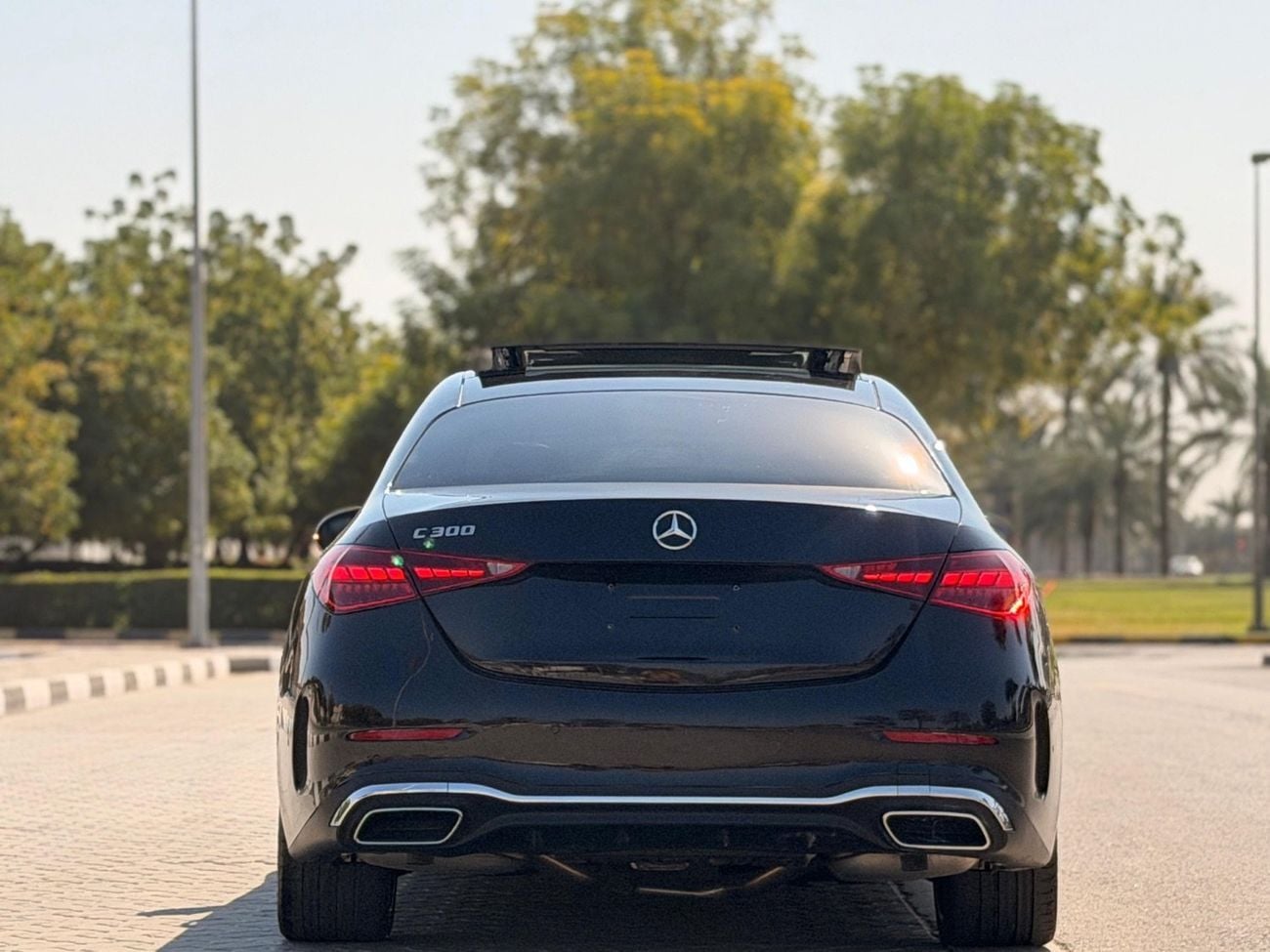 Mercedes Benz C300 STD (NON GCC) Base