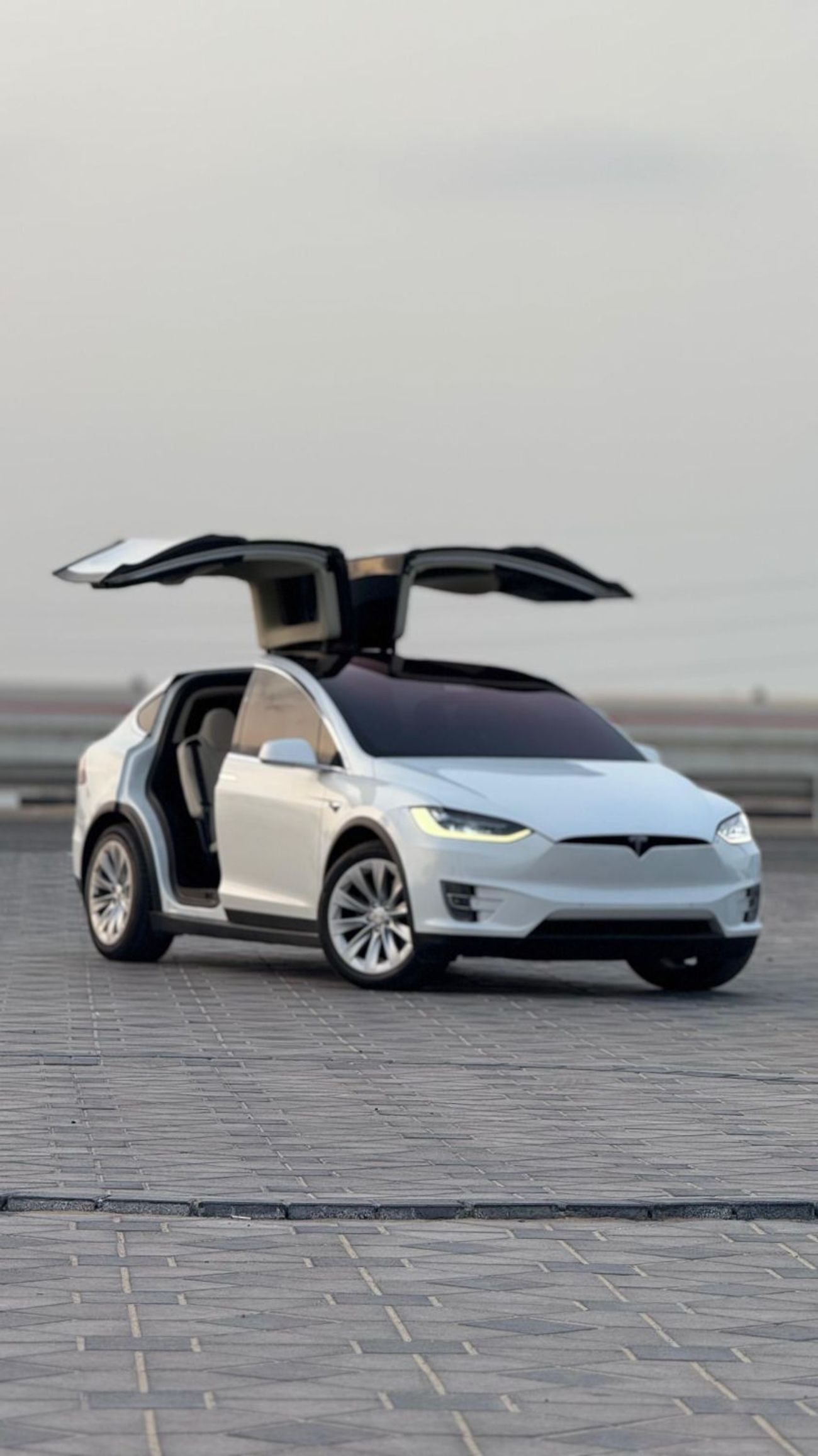 Tesla Model X Long Range (AWD)