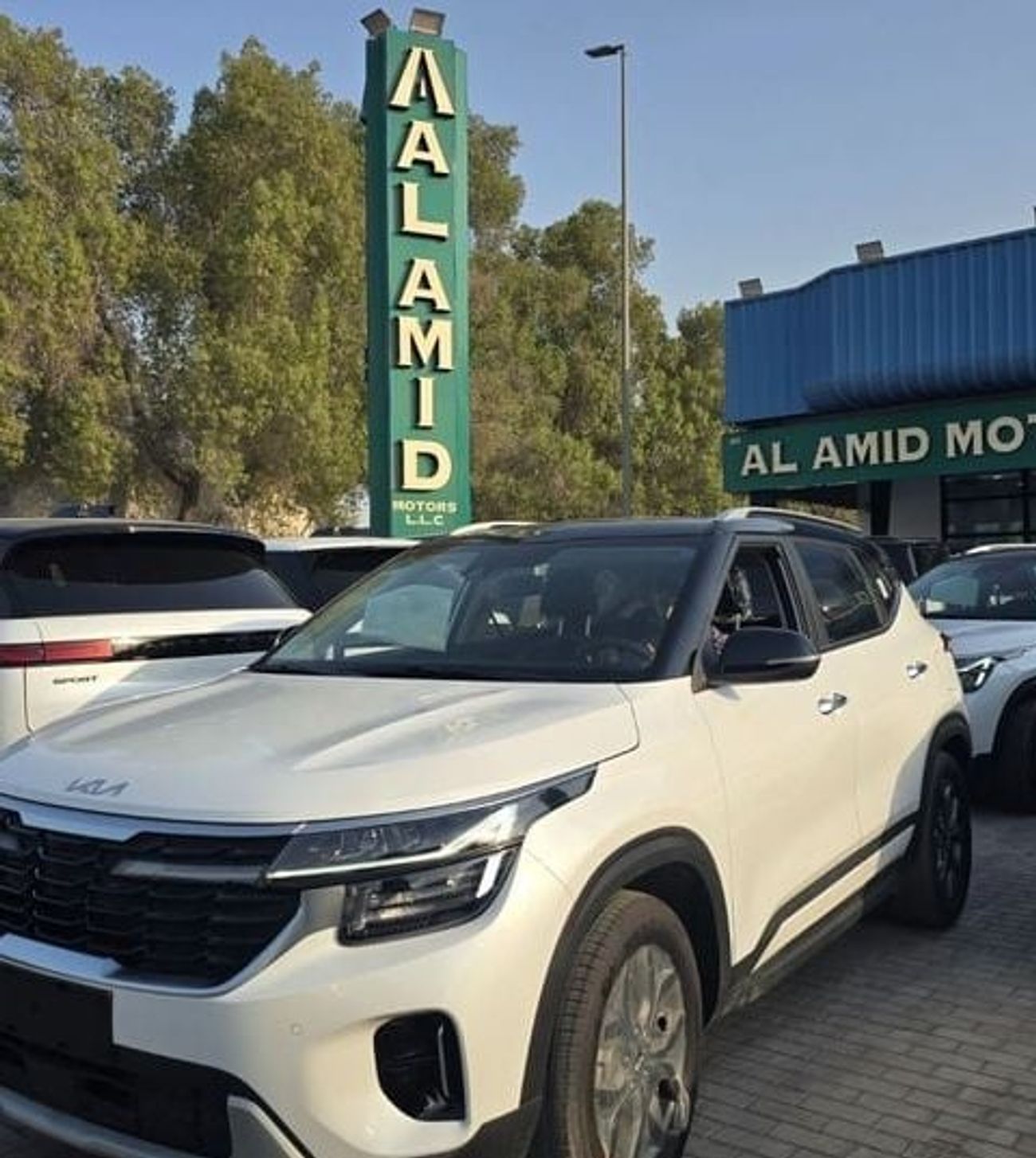 Kia Seltos available white dual tone and grey dual tone