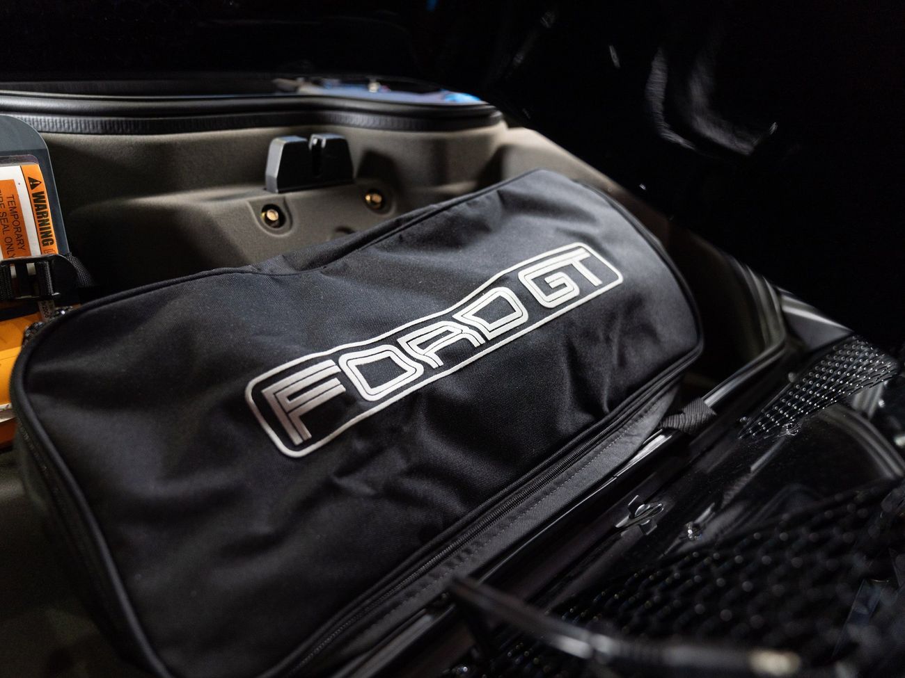 Ford GT Rare 1 of 14 Stripe Delete