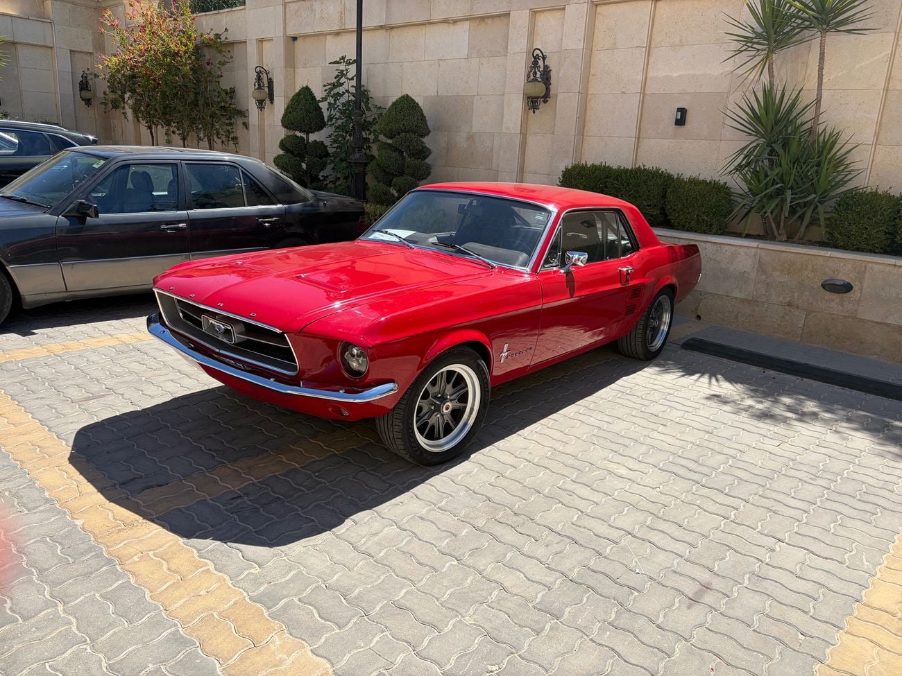 فورد موستانج STD