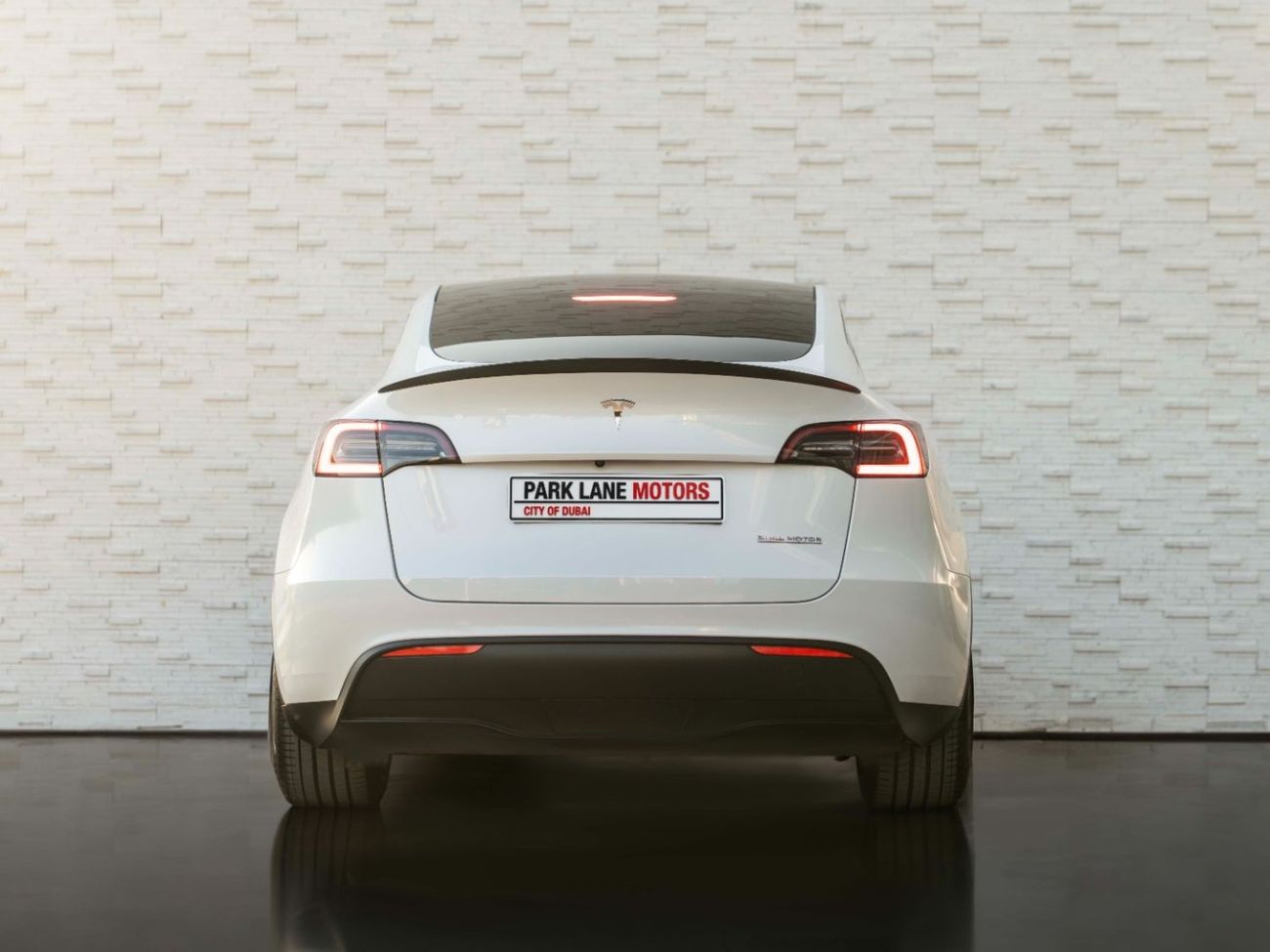 Tesla Model Y PERFORMANCE