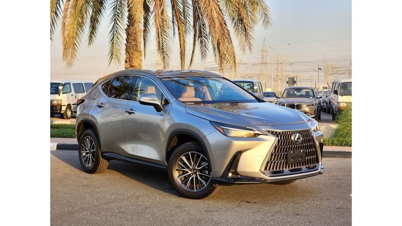 Lexus NX 250 LEXUS NX250 FULL OPTION 2022