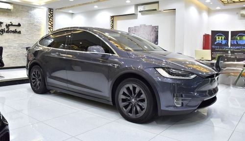 Tesla Model X EXCELLENT DEAL for our Tesla Model X 100D - Long Range ( 2019 Model ) in Grey Color GCC Specs