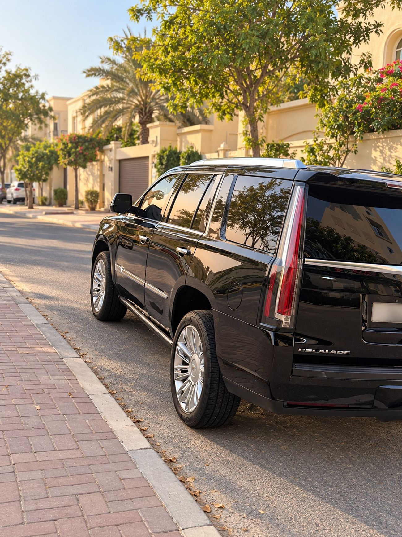 Cadillac Escalade ESV PLATINUM