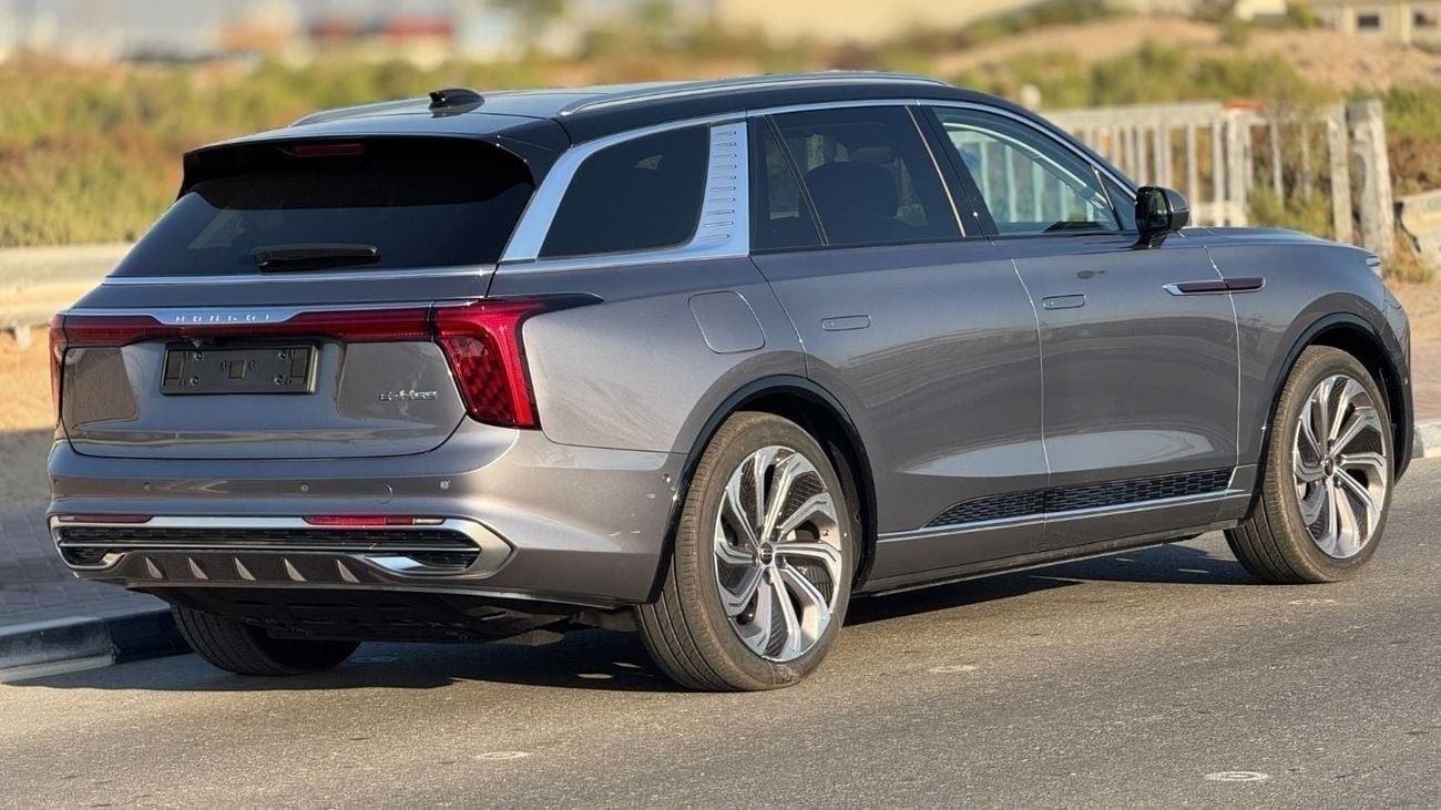 HONGQI HS9 Hongqi E-HS9 Flagship VIP SEATS